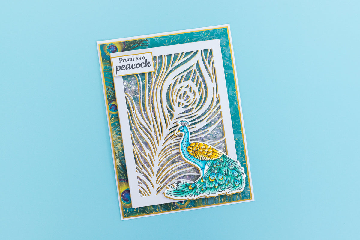 Graceful Plumes 3D Embossing Folder 5.5”x5.5” - Peacock Feather