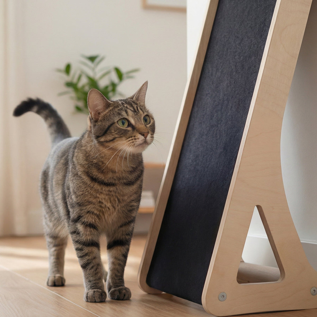 Noba Inclined Wall and Floor Cat Scratcher