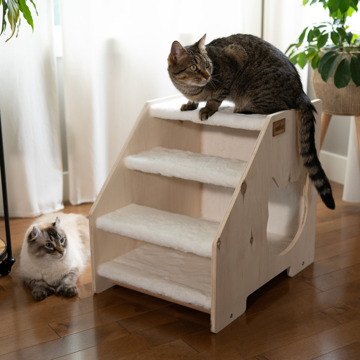 Noba Stairs Hideout for Cats and Small Dogs