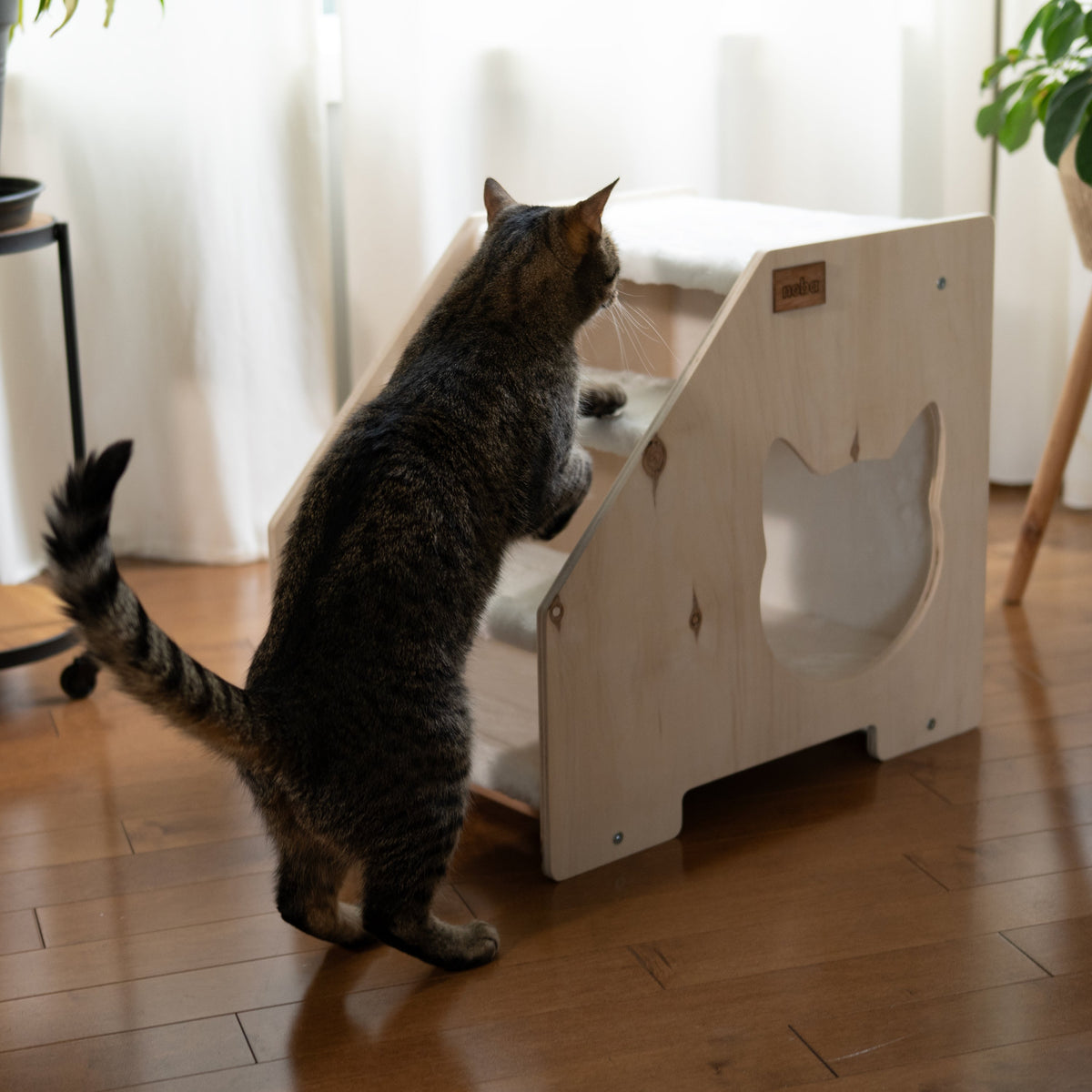Noba Stairs Hideout for Cats and Small Dogs
