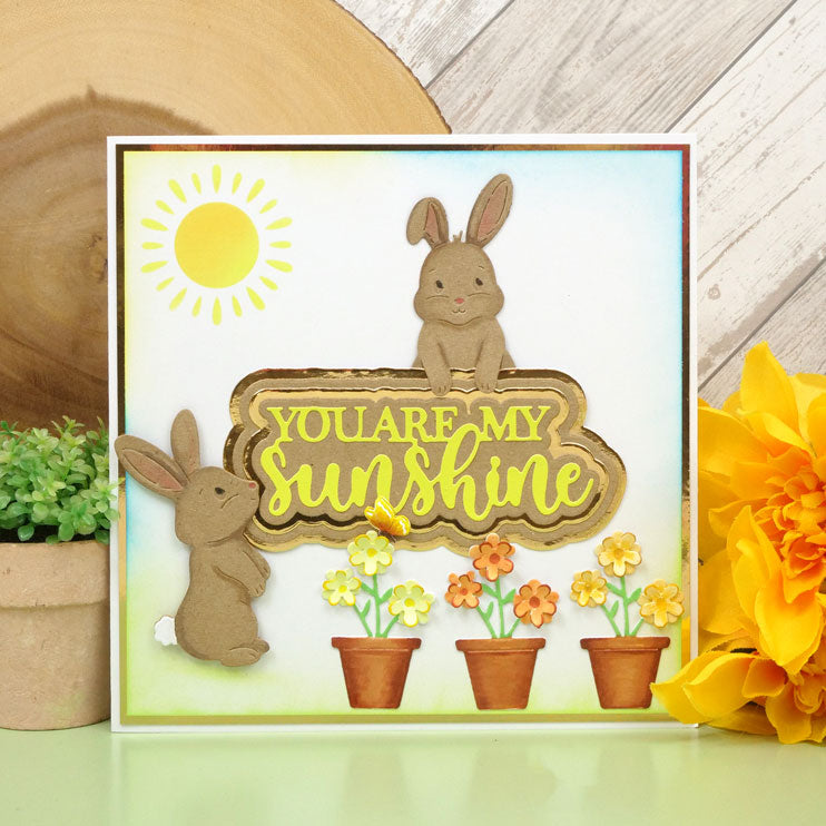 Moonstone Dies - Radiant Sentiments - Sunshine in Spring