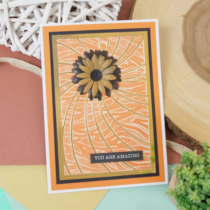 Moonstone Embossing Folders - Tiger Stripes