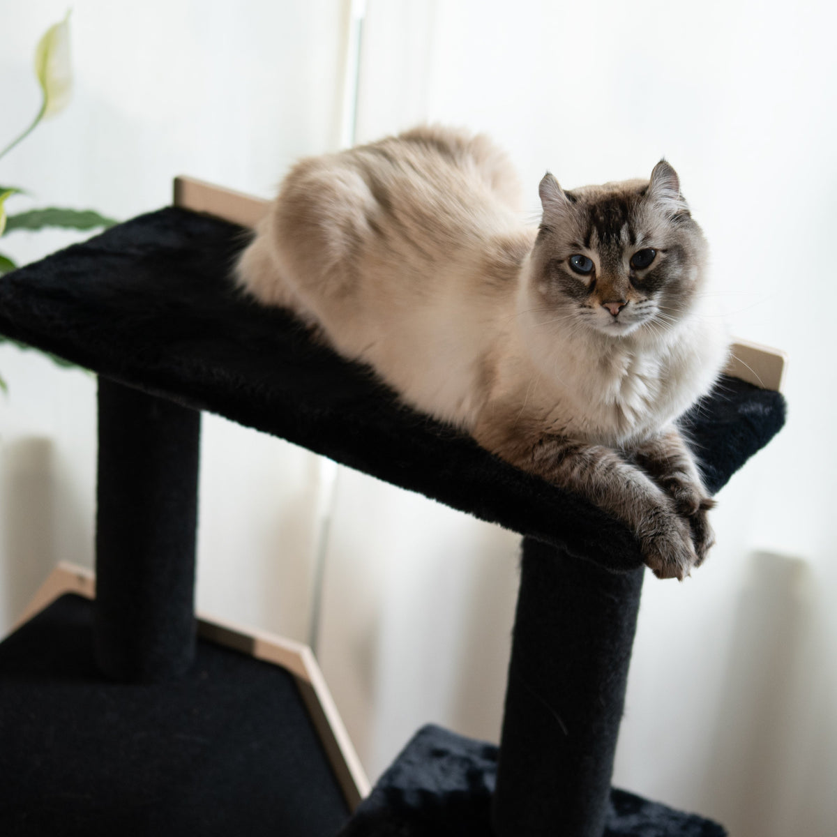 Noba Hexagon House 4-Level Cat Tree
