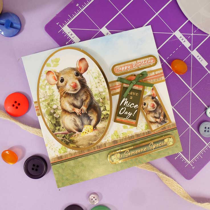 Quick Cards - Perfect Pets
