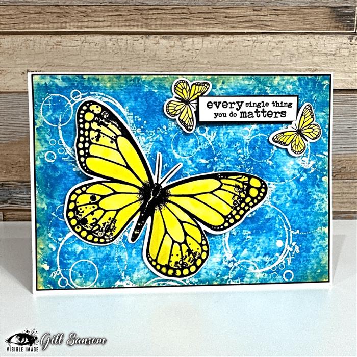 Visible Image Butterfly Effect Co-ordinating Dies