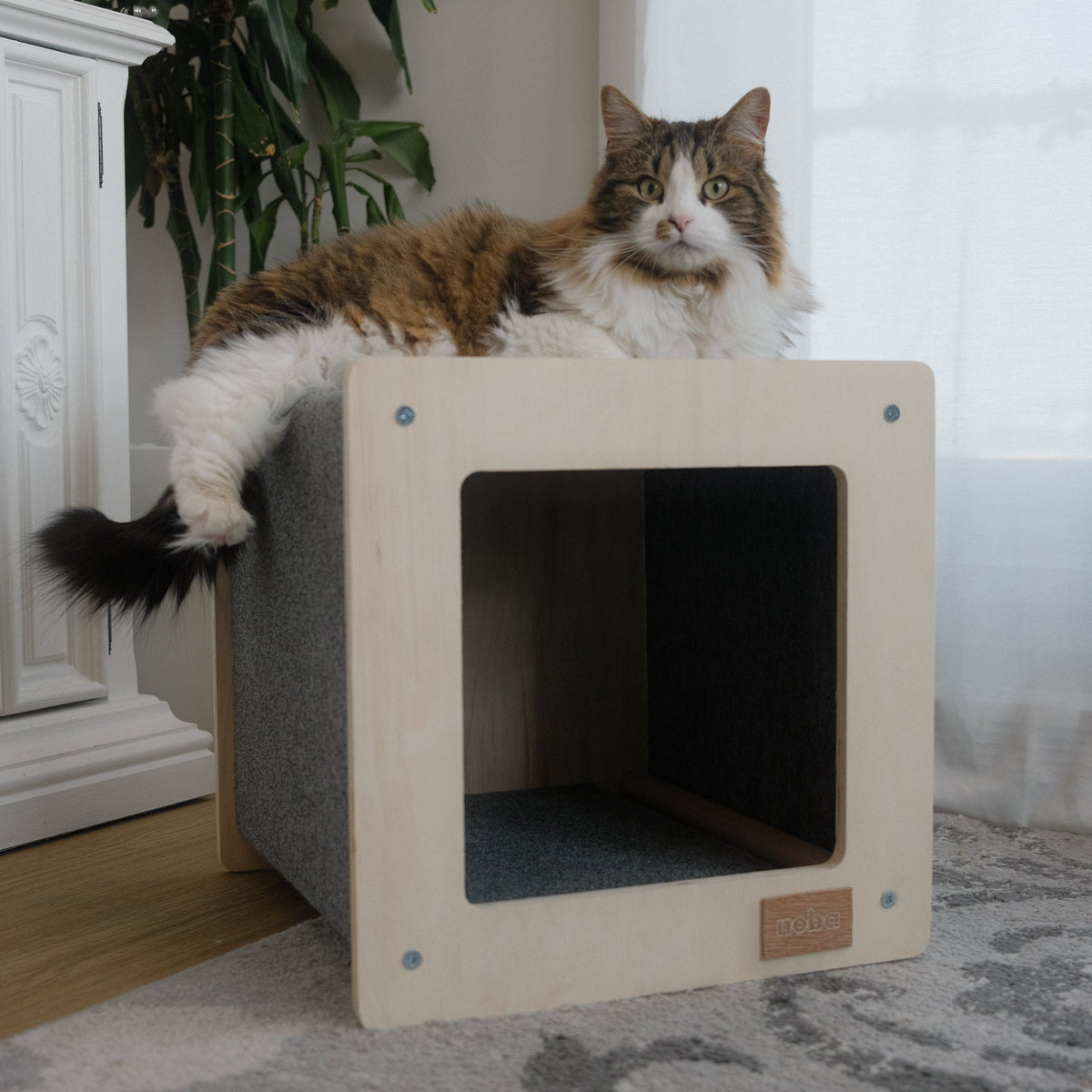 Noba Urban Hut Pet House