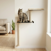 Noba Mural Parkour Wall Mounted Cat Climber
