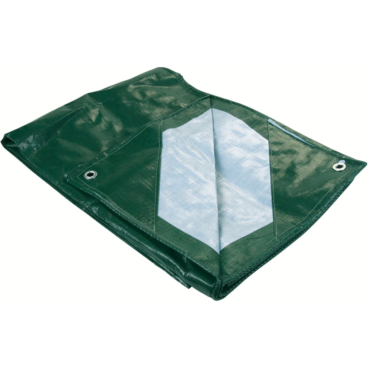 Tarp
