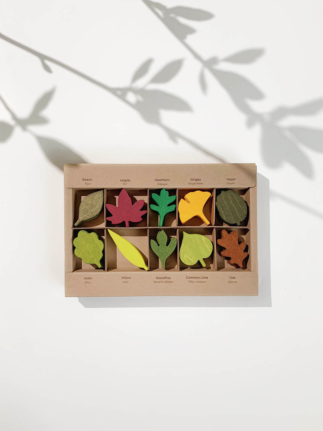 Wooden Woodland Leaves Loose Parts Set, 40 Pieces