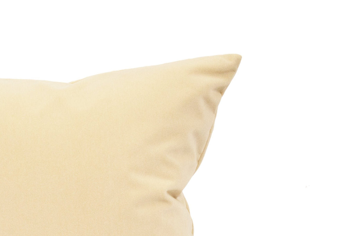 Canadian Down & Feather Brie Velvet Cushion Cover